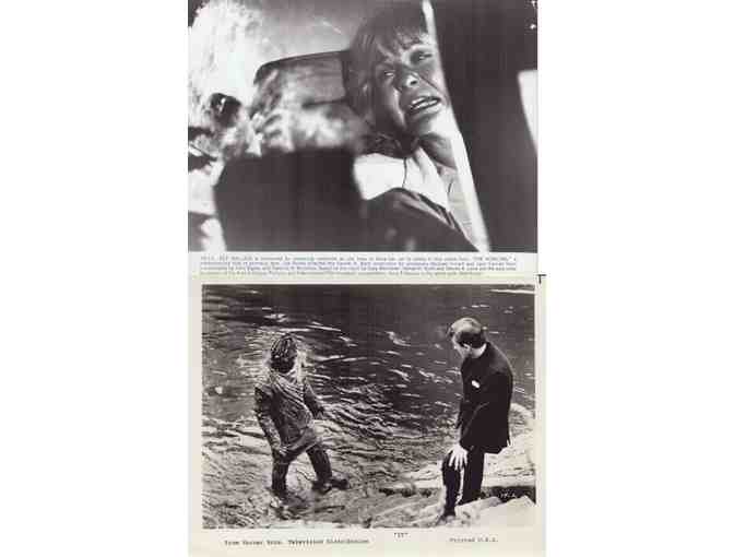 HORROR STILLS LOT 10 - IT, Howling, Terror Beneath the Sea