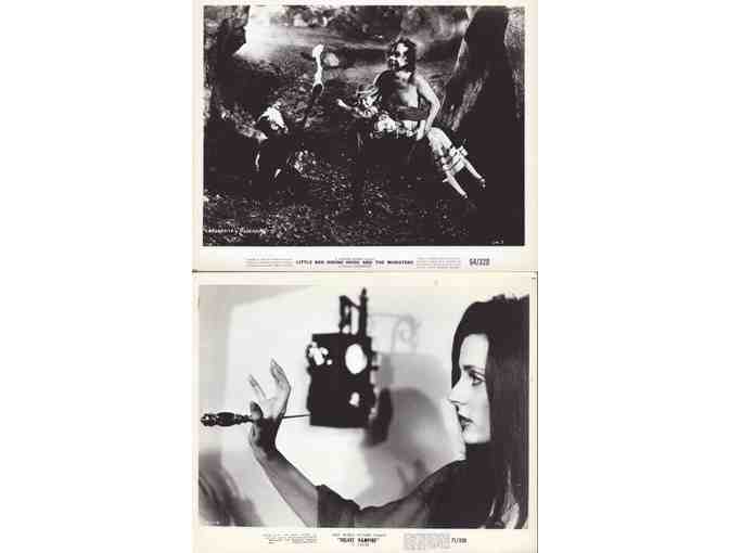 HORROR STILLS LOT 11 - Velvet Vampire, Halloween, Cobra Woman