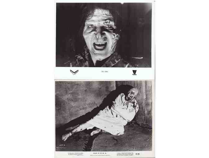 HORROR STILLS LOT 11 - Velvet Vampire, Halloween, Cobra Woman