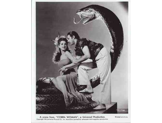 HORROR STILLS LOT 11 - Velvet Vampire, Halloween, Cobra Woman