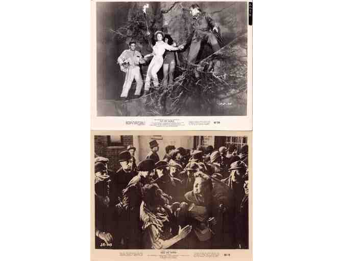 HORROR STILLS LOT 3 - Son of Godzilla, Predator, Teen Wolf