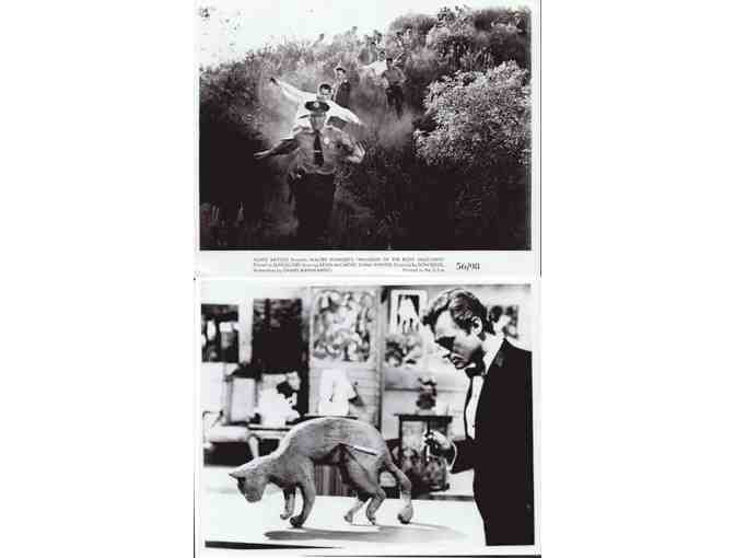 HORROR STILLS LOT 5 - Atom Age Vampire, Bucket of Blood, Nightmares