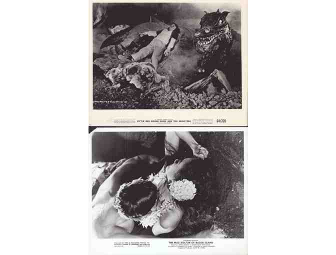 HORROR STILLS LOT 6 - Crow, Jaws of Death, Vampire Journals