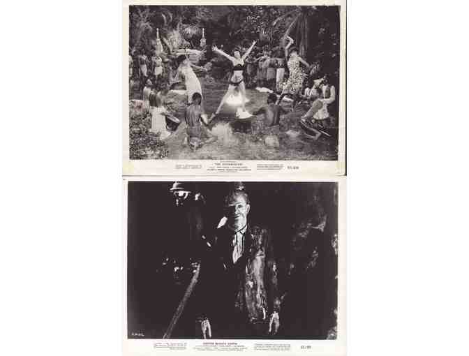 HORROR STILLS LOT 6 - Crow, Jaws of Death, Vampire Journals