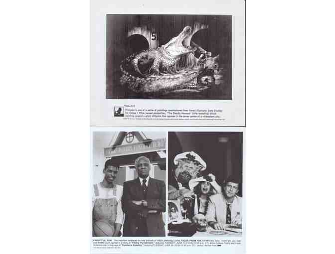 HORROR STILLS LOT 9 - Swarm, Tales From the Crypt, Asylum