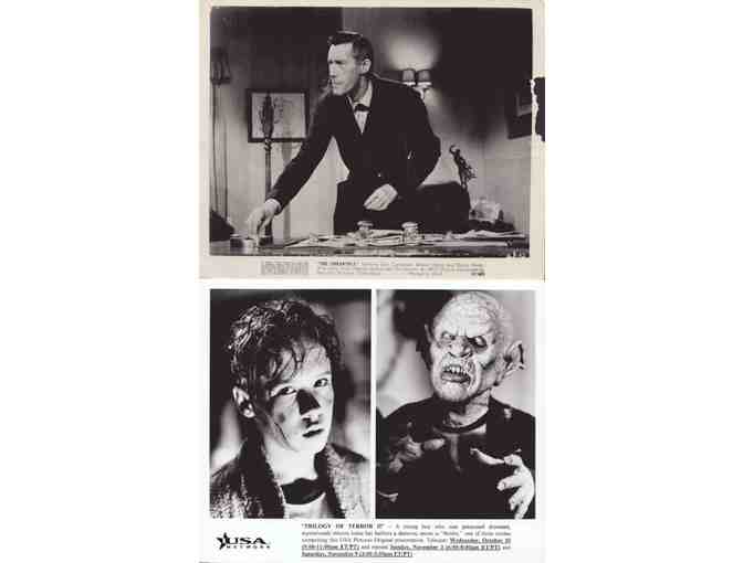 HORROR STILLS LOT 9 - Swarm, Tales From the Crypt, Asylum