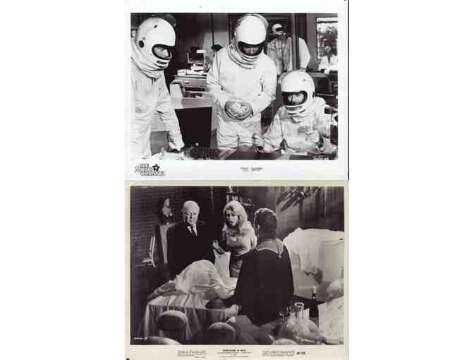 HORROR STILLS LOT 9 - Swarm, Tales From the Crypt, Asylum