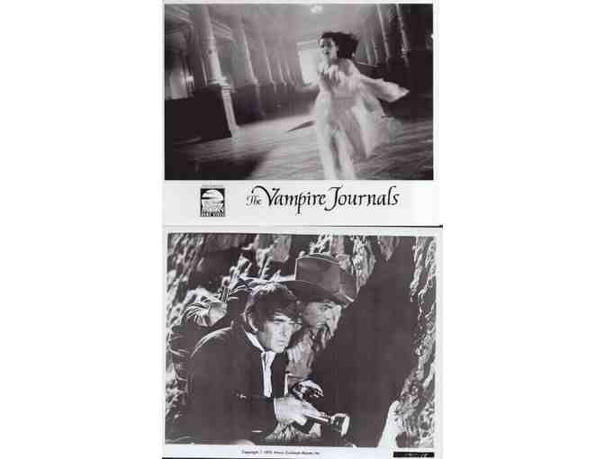 HORROR STILLS LOT 9 - Swarm, Tales From the Crypt, Asylum