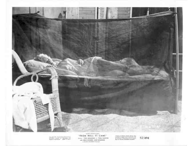 FROM HELL IT CAME, 1957, movie stills, Tod Andrews, Tina Carver