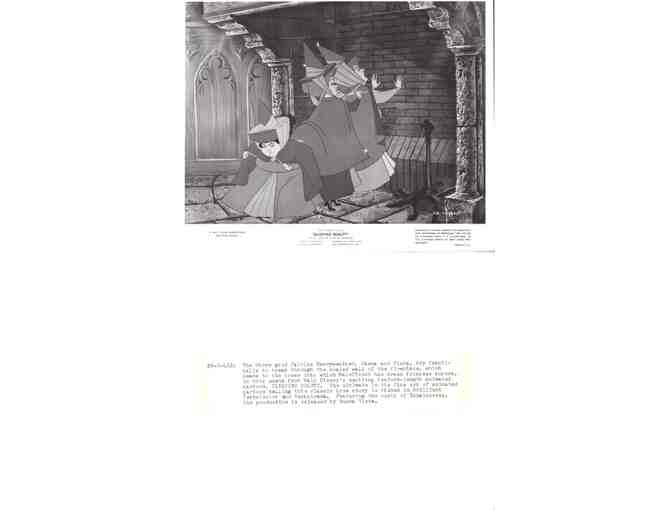 ANIMATION STILLS LOT 1 - Disney animation A