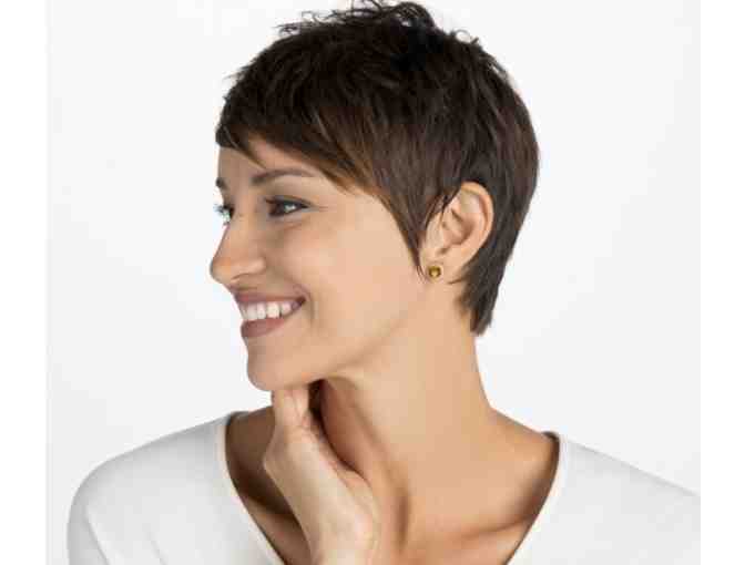 Earrings - Brighton Studs