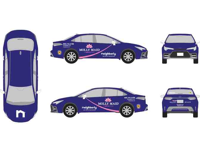 Option A or B Molly Maid Decal Kits