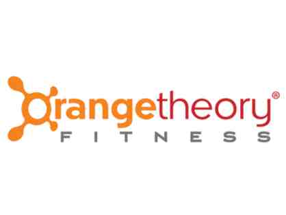 Orangetheory Trial Sessions and Swag Bag