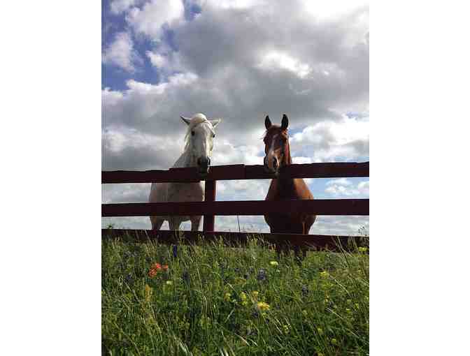 2-nights stay at Guest House at Washington on the Brazos, TEXAS