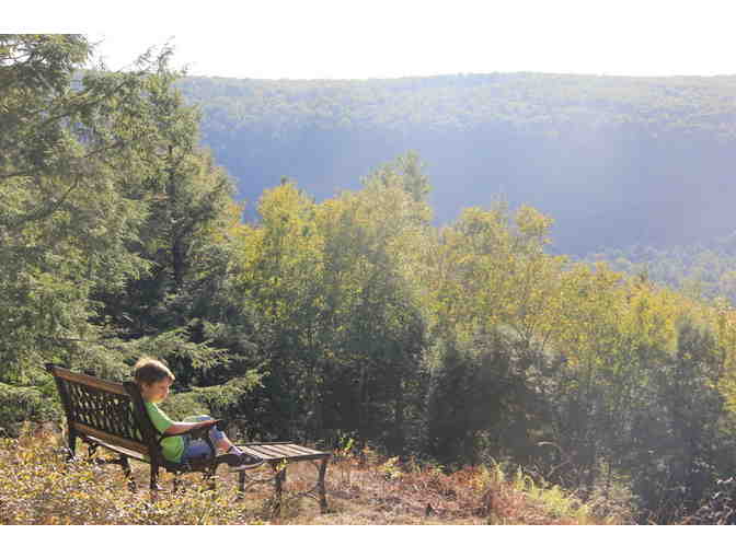 Catskill/Delaware River Log Cabin Getaway: MTW Families and Alumni ONLY