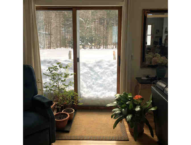 Catskills Vacation Home - All Seasons - 4 Nights!