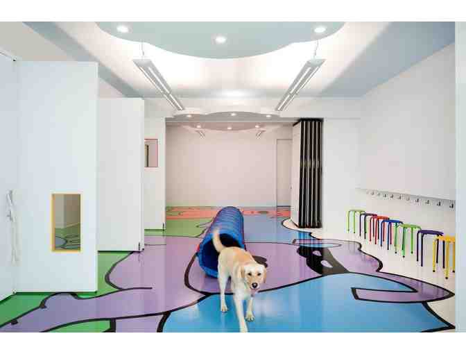 Frolic Dogs! Birthday Party  - Up to 10 Children