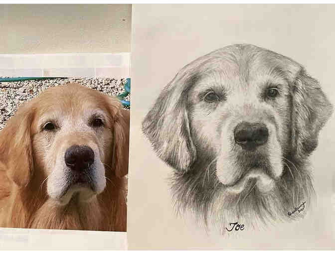 Pencil Portrait - By Rhea Banerjee (MTW Parent) - Artsy Rhealism - Photo 2