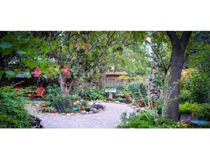 Bask in the beautiful gardens at Tucson Botanical Gardens with two (2) admission passes