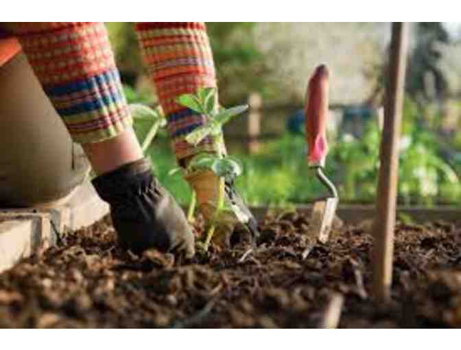 Six hours of gardening