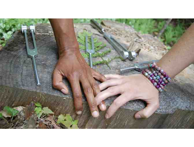 Biofield Tuning session with Trish DeRocher