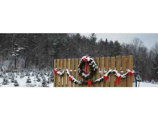 Premium Balsam from Ripton's Sinclair Family Tree Farm