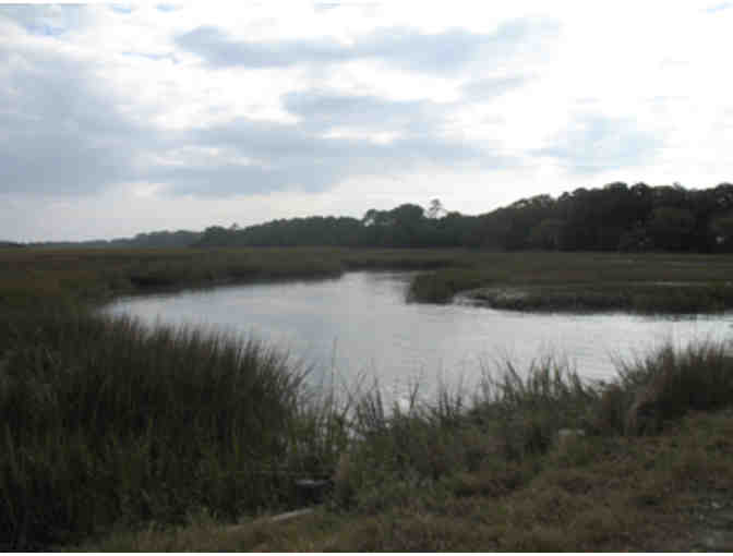 A week on Jekyll Island, Georgia