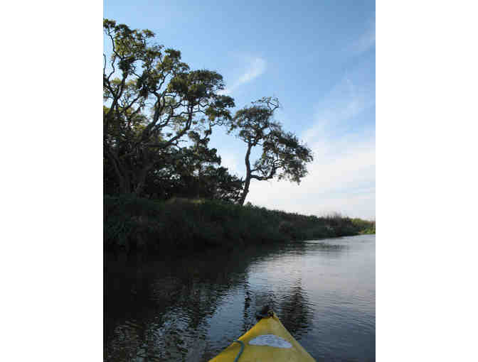 A week on Jekyll Island, Georgia