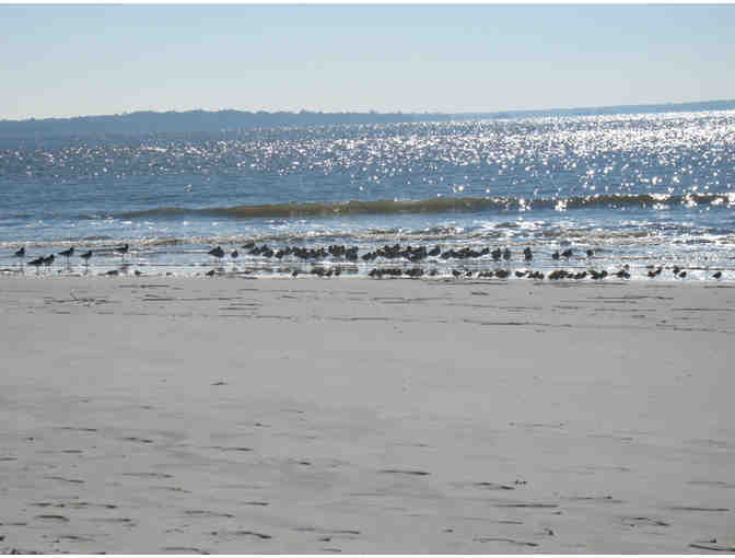 A week on Jekyll Island, Georgia