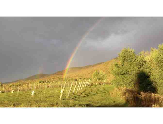 Bottle of High Rows Vineyards' Sparkling Tree House Rose - Photo 2