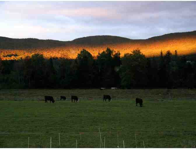 Four-day Weekend at a Vermont BnB for up to Six - Photo 5