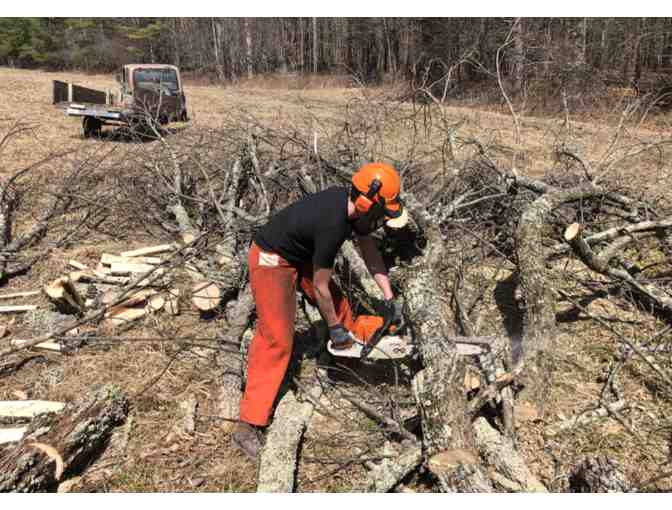 One Military Dump Truck Full of Firewood (2 of 2) - Photo 3