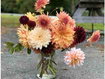 Dahlia Arrangement by Stephanie Powers