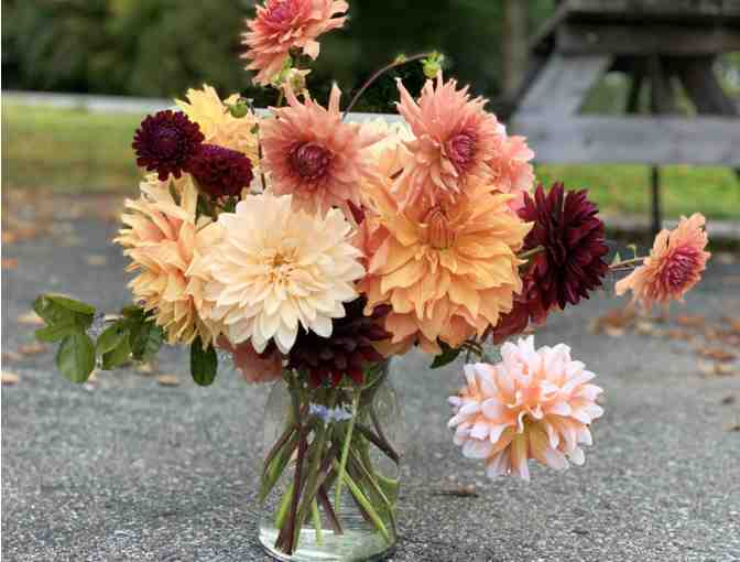 Dahlia Arrangement by Stephanie Powers - Photo 1