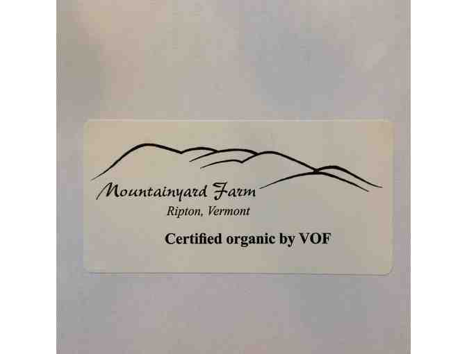 Organic Starts from Mountainyard Farm - Photo 2