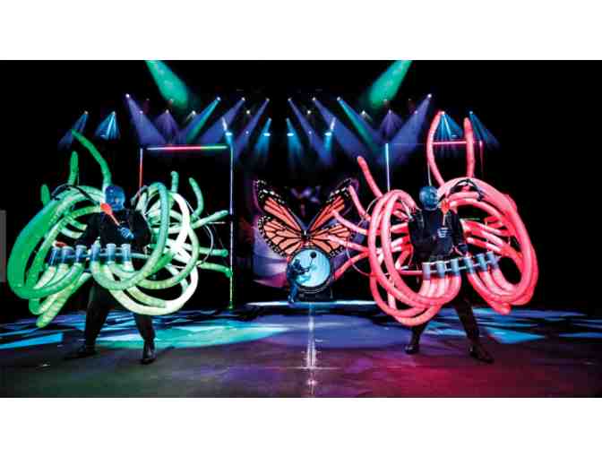 Two (2) Tickets to Blue Man Group