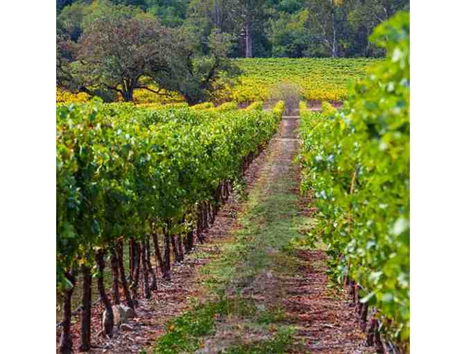 The Astro in Sonoma County, California: 3-night stay