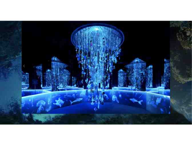 Arcadia Earth Museum - 4 General Admission Tickets #1