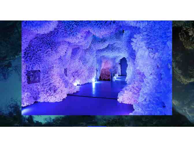 Arcadia Earth Museum - 2 General Admission Tickets