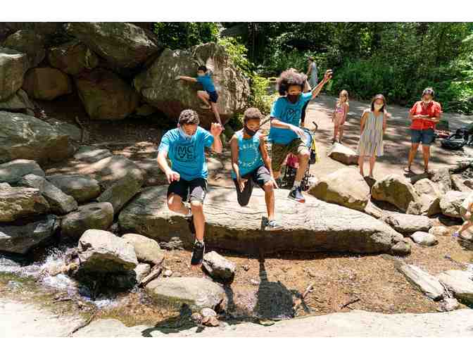 The Movement Creative: 11 Class Pack Parkour Fitness Lessons