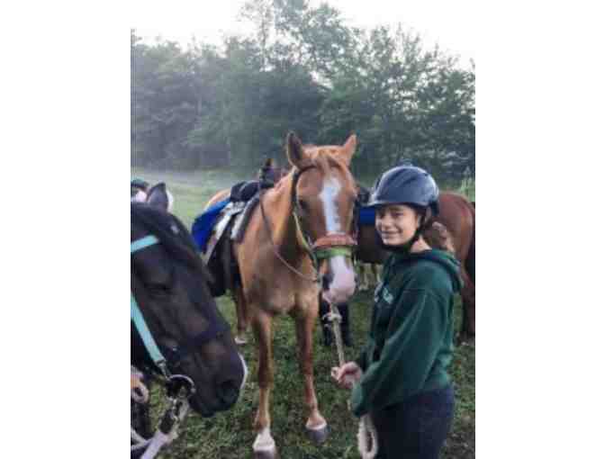 One Week of Horse Trails Camp at Frost Valley