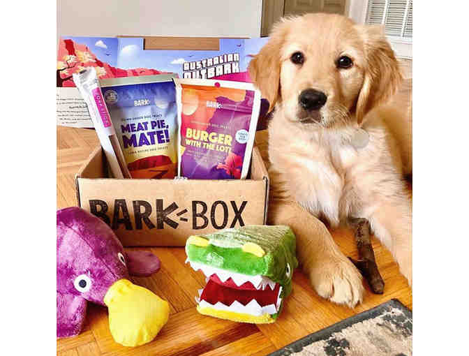 BarkBox - 1 Month