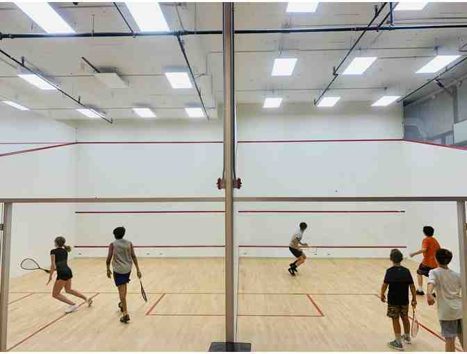 Nicol Squash - 2 Sessions