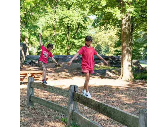 The Movement Creative - 50% Off Summer Camp