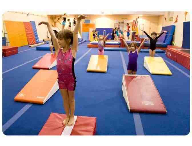 Discovery Programs - Gift Certificate