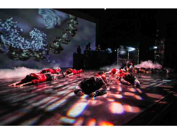 Joyce Theater - Two (2) Performance Tickets