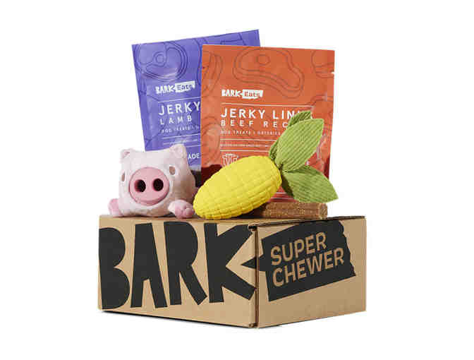 BarkBox - 1 Month of Super Chewer