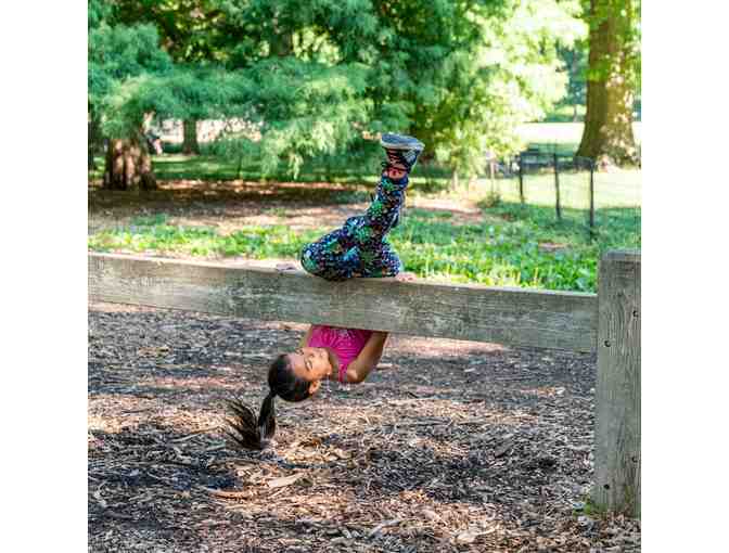 The Movement Creative - 50% off 1 Week of Summer Camp