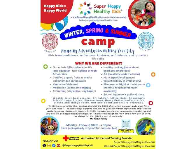 Super Happy Healthy Kids - 1 Week of August Summer Camp #3