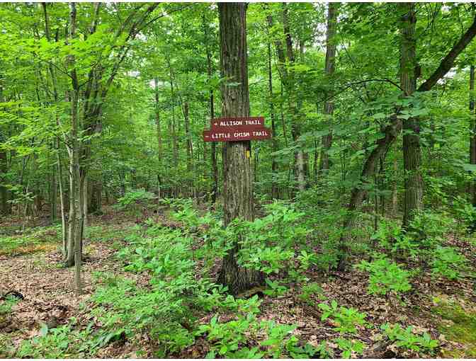 Tenafly Nature Center - Family Nature Day Experience